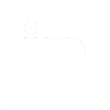 Linkedin icon